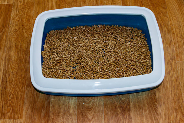 Kissan hiekkalaatikko täyteaineella lattialla - Valokuva, kuva