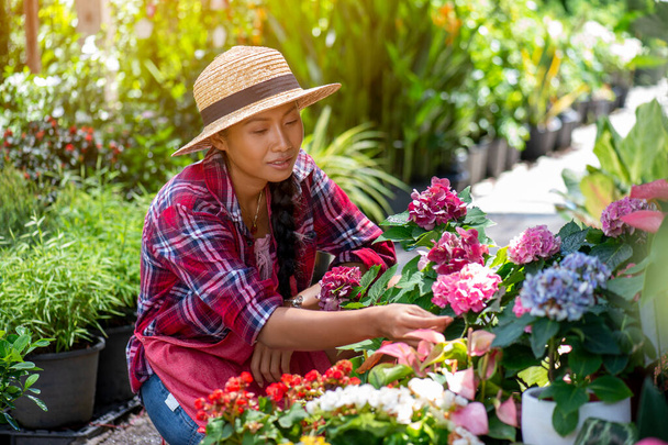 Jonge Aziatische vrouw verzorgen voor planten in een kleine tuin winkel - Foto, afbeelding