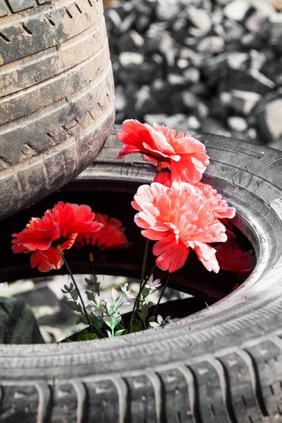 bloemen kiev maidan - Foto, afbeelding
