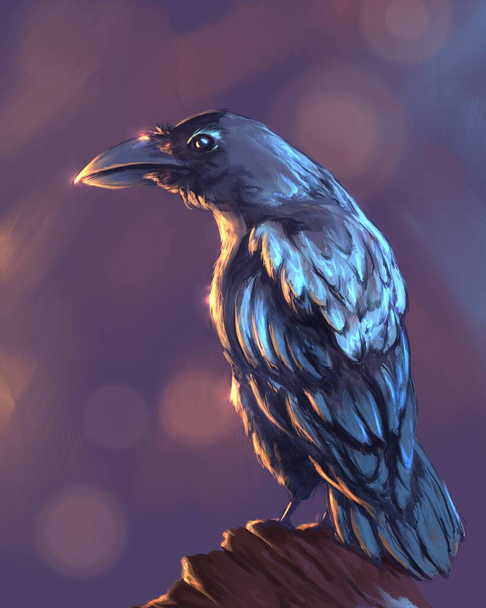 The raven on a branch  - Zdjęcie, obraz
