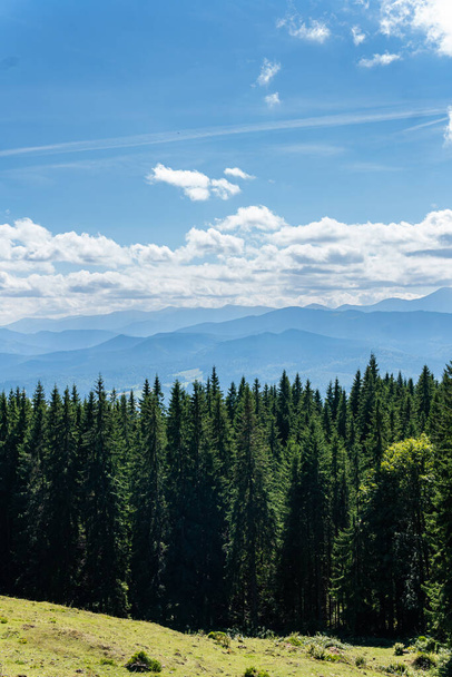 Όμορφο τοπίο των βουνών και πράσινο δάσος σε μια ζεστή ηλιόλουστη μέρα, δυναμική λευκά σύννεφα - Φωτογραφία, εικόνα