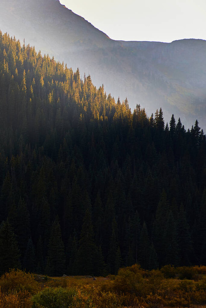Montanhas cobertas de pinheiros com raios de luz solar atingindo os picos - Foto, Imagem