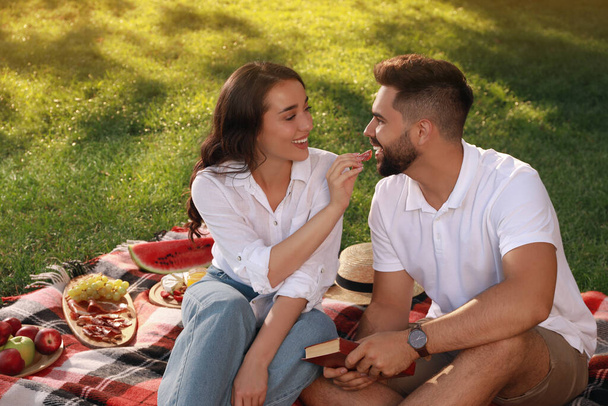 Lovely couple having picnic on plaid outdoors - Foto, afbeelding