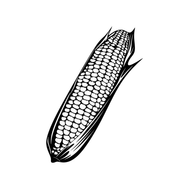 Corn Logo design. Corn Silhouette vector illustration - Vektor, kép
