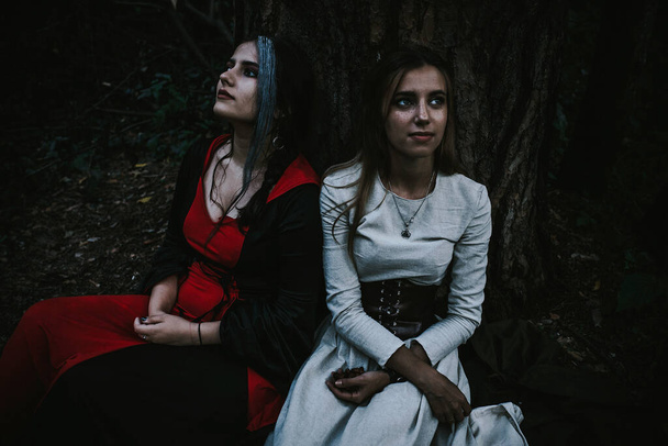girls in a historical dress in a coniferous forest - Foto, afbeelding