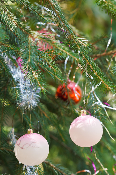 vaaleanpunainen pallot ja punainen pallo talo joulukoristeita
 - Valokuva, kuva