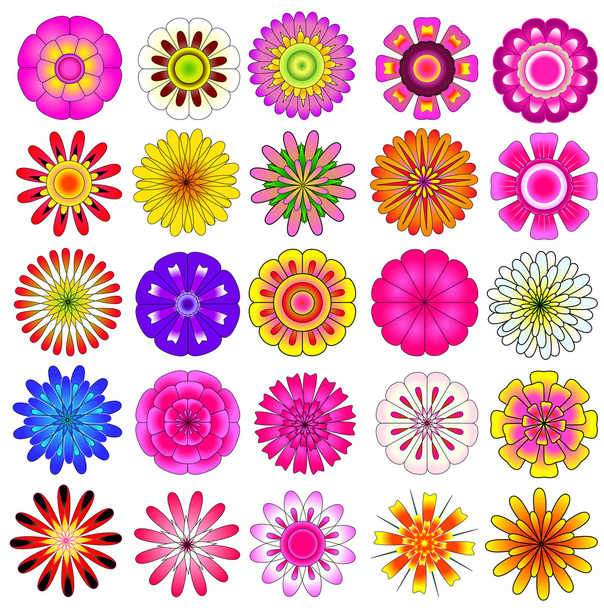kleurrijke bloem vector set - Vector, afbeelding