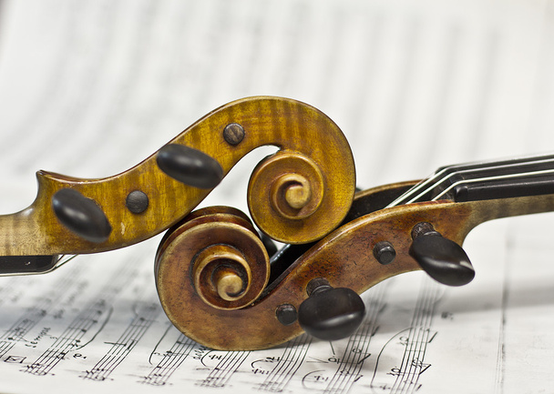 Belo violino em uma partitura de fundo. instrumento musical. instrumento de cordas. violino
 - Foto, Imagem