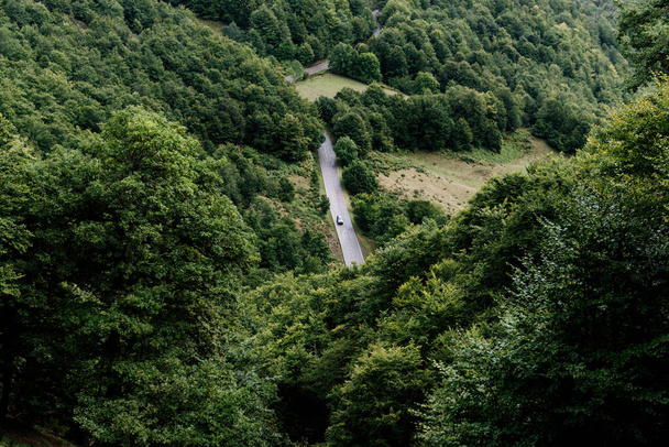 Blick von oben auf eine Straße mit einem Auto, das durch einen üppigen Wald fährt. - Foto, Bild