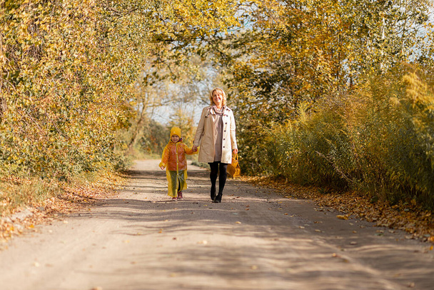 Young woman walks along road with her little daughter among yellow trees in autumn, holding hands on sunny day, yellow leaves - Fotó, kép