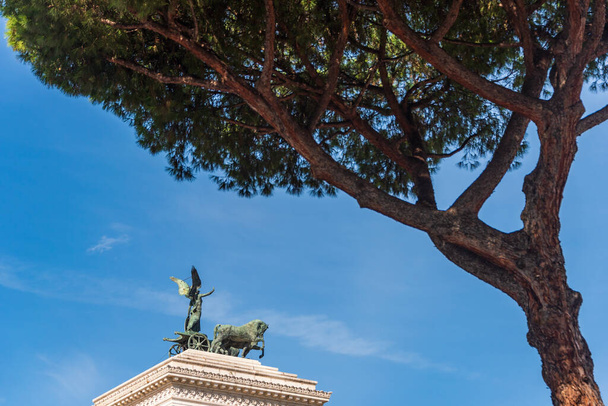 Victoria istennő szobra, amint a quadrigán lovagol a zöld fenyőn keresztül. A Vittorio Emanuele II. (Altare della Patria) Emlékmű tetejének díszítése a szülőföld oltárán a Velencei téren (Piazza Venezia), Róma, Olaszország. - Fotó, kép