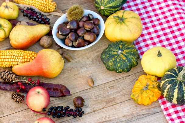 Fruits et légumes d'automne - Récolte d'automne
 - Photo, image