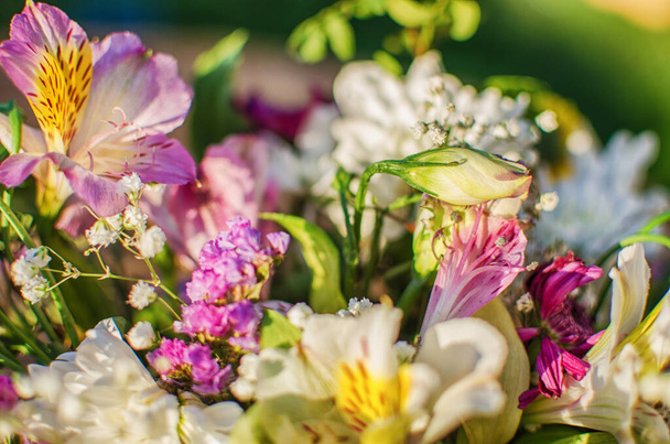 Fresh wildflowers bloom on the field on a beautiful sunny summer day for a bouquet - Photo, Image