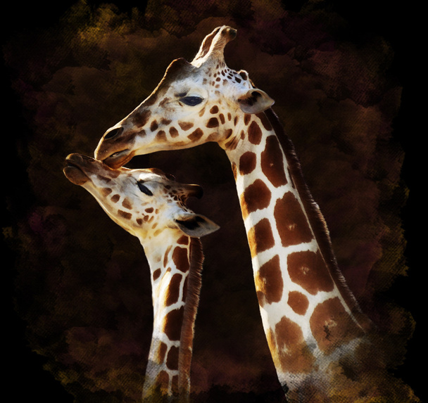 Image aquarelle de girafes
 - Photo, image