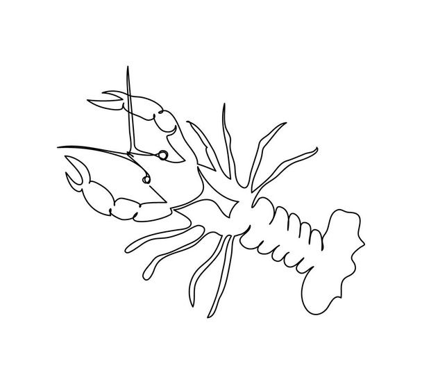 lagostim, desenho de linha contínua de lagosta. Uma linha de arte de artrópodes, frutos do mar, animais marinhos. - Vetor, Imagem