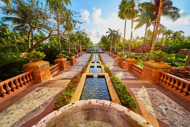 Prachtige tropische tuinen met palmbomen en waterlagen - Foto, afbeelding