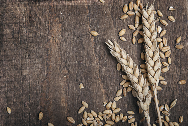 Пшеничні колоски
 - Фото, зображення