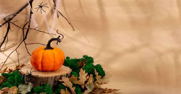 Autumn pumpkin on a wooden podium, cobwebs, branches and spiders. Autumn Halloween concept, web banner with free space for text. High quality photo - Zdjęcie, obraz