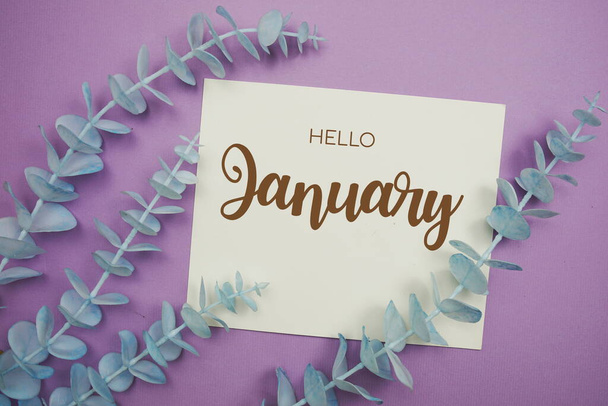 Hello January typography text on paper card decorate with eucalyptus on purple background - Photo, Image