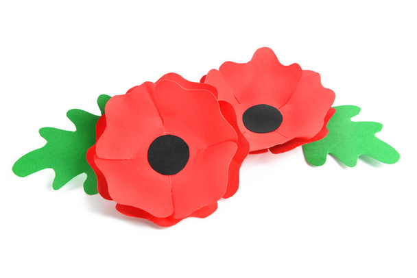 Remembrance Day in Canada. Red poppy flowers on white background - Photo, Image