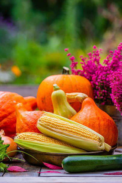 Autumn vegetables harvest on the garden table.  Autumn still life. - Photo, Image