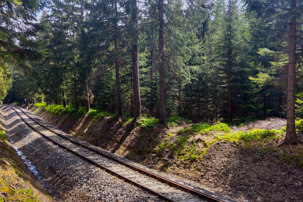 山間部の森の中の絵のような鉄道 - 写真・画像