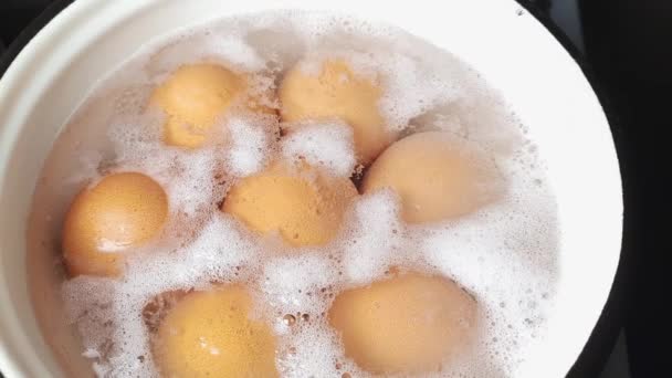 Коричневі курячі яйця під час кип'ятіння в невеликій каструлі
 - Кадри, відео