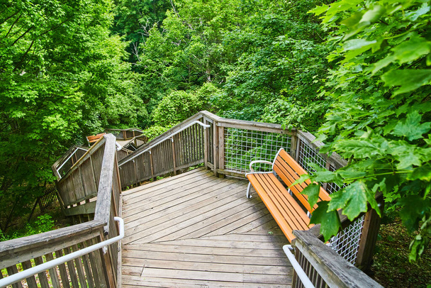 Лестница на тротуаре со скамейками отдыха и яркими зелеными деревьями - Фото, изображение