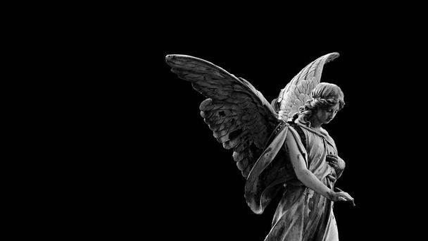 3d illustratie - vrouw engel met vleugels op zwarte achtergrond - Foto, afbeelding