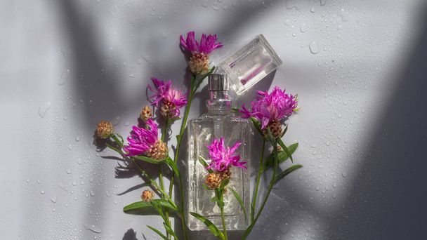 A bottle of perfume or herbal oil from violet, magenta, crimson, lilac, burgundy, scarlet colors on a gray background. - Fotoğraf, Görsel