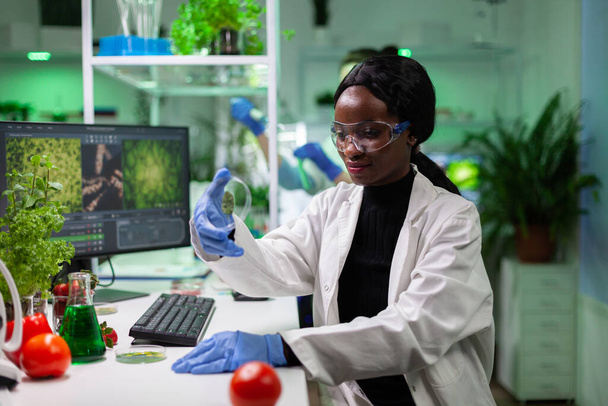 Afrikalı Amerikalı bilim adamı elinde yeşil yaprak örneğiyle petri kabı tutuyor. - Fotoğraf, Görsel