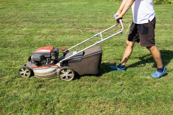 Genç adam bahçesindeki çimleri benzin çim biçme makinesiyle biçiyor. - Fotoğraf, Görsel