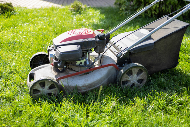 Gasoline lawn mower on the grass - Photo, Image