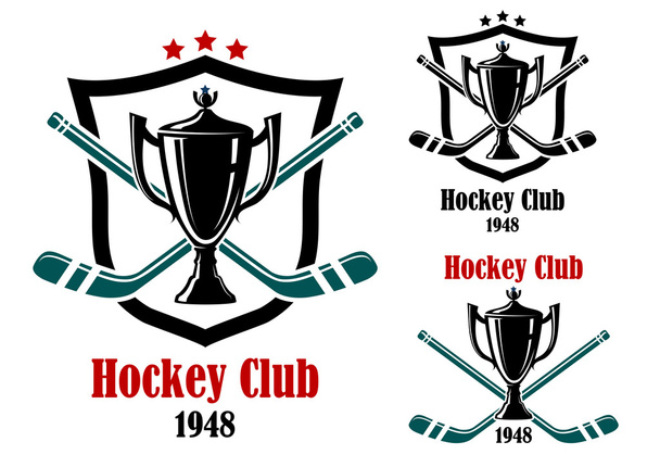 Eishockey mit Symbolen und Emblemen - Vektor, Bild