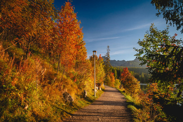 Autumn turistic trail in mountains - Фото, зображення