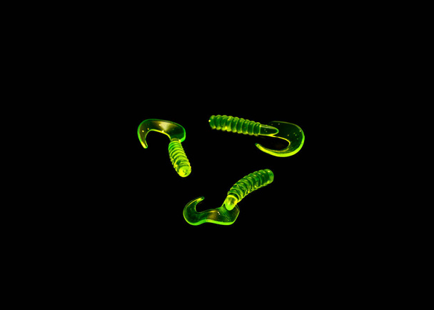 Три желтых личинок рыбалка приманка или кудрявый хвост джига изолированы на черном фоне. Кудрявый хвост с округлым мягким пластиковым телом и тонким изогнутым хвостом, который шевелится при извлечении - Фото, изображение