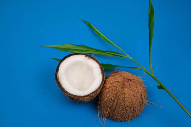 halves of fresh coconut on a blue background - Foto, Imagem
