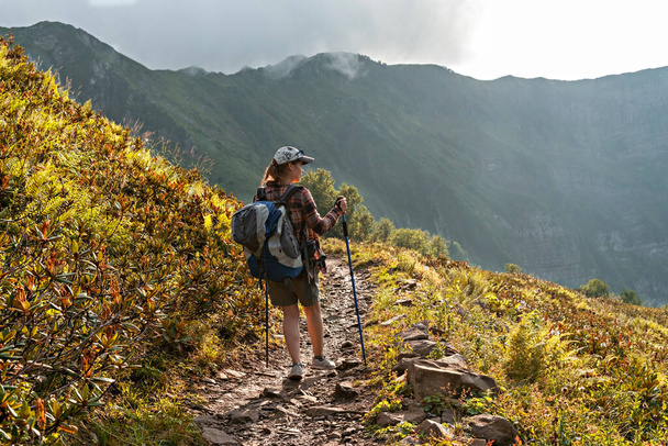 Genç bir kadının ekose gömlekli, büyük sırt çantalı, yürüyüş direkleri ile dağ yürüyüşü yapan rhododendron ve eğreltiotu bitkileri arasında yürüyen sağlıklı aktif yaşam tarzı, hafta sonu aktiviteleri. - Fotoğraf, Görsel