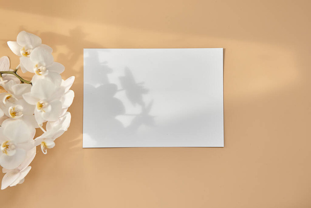 Burla de un membrete blanco vacío A5 sobre un fondo beige. Vista superior - Foto, imagen