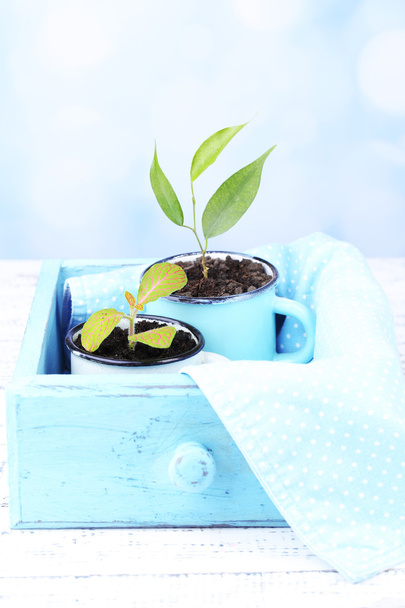 Young plant in mugs in wooden box, on color wooden table, on bright background - Фото, зображення