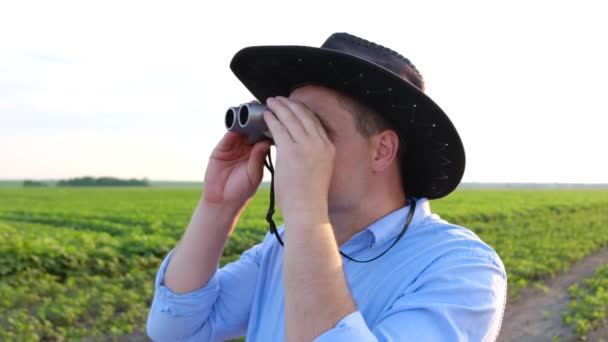 Verrassende blik van een jonge landbouwkundige die door een verrekijker op het veld kijkt. - Video