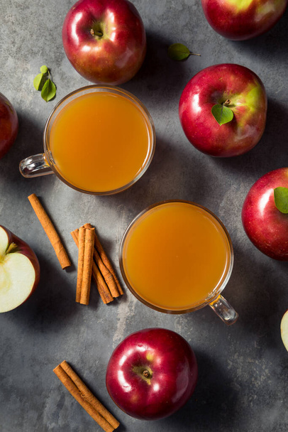 Healthy Organic Mulled Apple Cider in a Mug - Foto, afbeelding