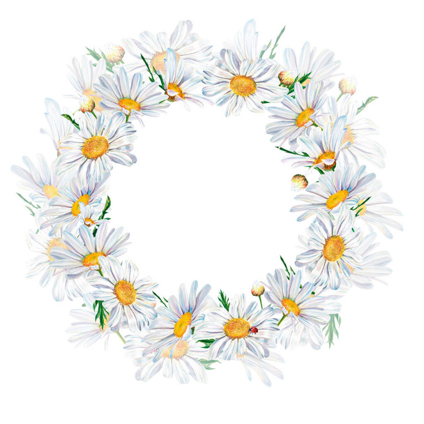white daisy flowers watercolor illustration on white background, closeup. . Hand made drawing. wreath - Foto, immagini