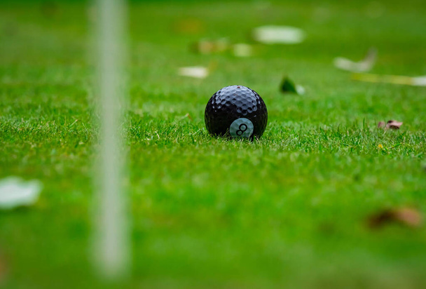 Multi-colored golf balls on green grass. Golf Club. Sports and recreation. Summer. - Фото, изображение