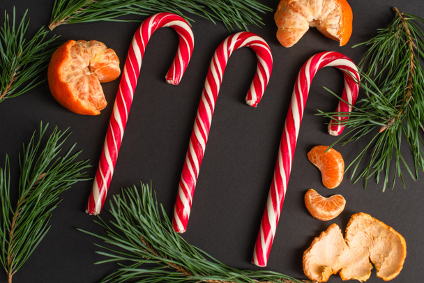 top view of striped candy canes near peeled tangerines and fir branches on black - Fotografie, Obrázek
