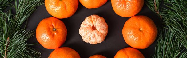 leigos planos com tangerinas maduras perto de bolas de Natal douradas perto de ramos de abeto, banner - Foto, Imagem
