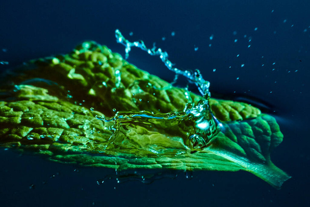 Untergetauchtes grünes Blatt mit einem Spritzer Wasser - Foto, Bild