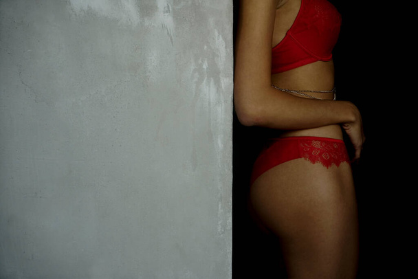 sexy young woman in red  lingerie. no face - Photo, image