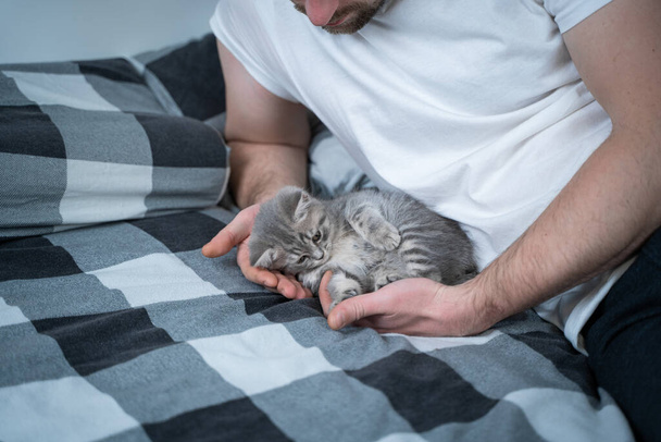 Theme is love, care and protection of pets. Man basking in bed with baby gray Scottish Straight cat. Male hugs and strokes cat at home in bedroom. Cat lover gently protects his pet who falls asleep. - Photo, Image