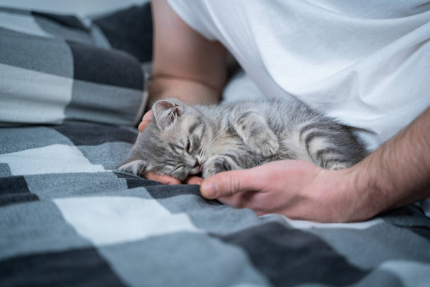 Thema is liefde, zorg en bescherming van huisdieren. Man koesterend in bed met baby grijs Schots Rechte kat. Mannelijke knuffels en beroertes kat thuis in slaapkamer. Kattenliefhebber beschermt zachtjes zijn huisdier die in slaap valt. - Foto, afbeelding